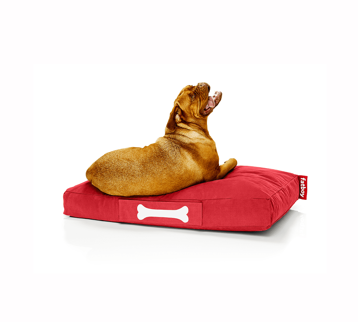 Fatboy® doggielounge large – Fotoliu puf bumbac