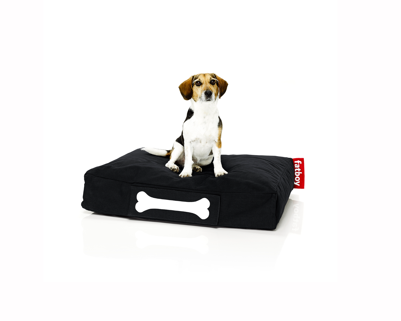 Fatboy® doggielounge small - Fotoliu puf bumbac