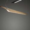 Troag Foscarini