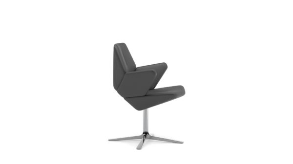 Scaun Trifidae conference