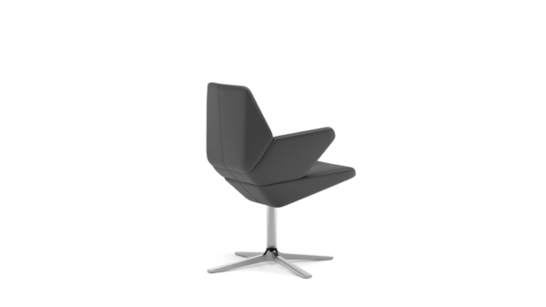 Scaun Trifidae conference