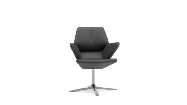 Scaun Trifidae conference