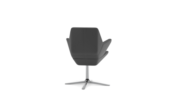 Scaun Trifidae conference