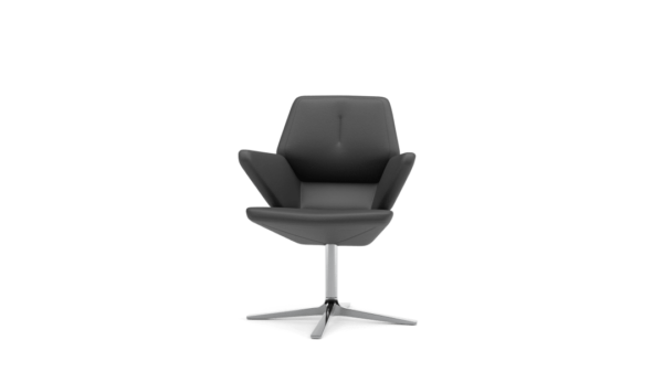 Scaun Trifidae conference