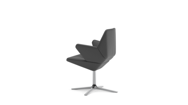 Scaun Trifidae conference