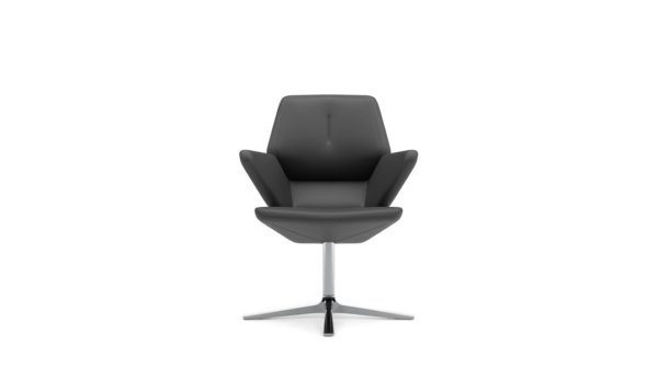 Scaun Trifidae conference